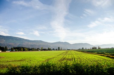 Chilliwack, Fraser Vadisi, BC, Kanada 'daki tarım çiftliklerinin sonbahar renkleri