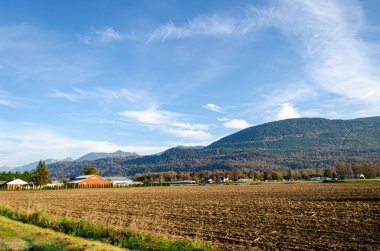 Chilliwack, Fraser Vadisi, BC, Kanada 'daki tarım çiftlikleri