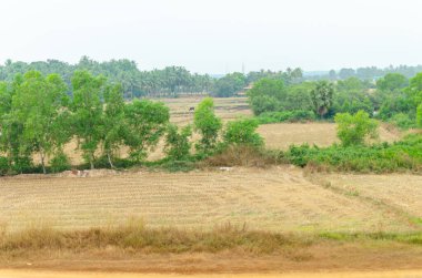 Hindistan kırsalının güzel manzarası Konkan Demiryolu boyunca Goa 'dan Mangalore' a.