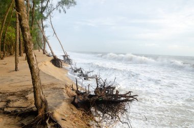 Mangalore, Kanvatheertha Sahili 'nde deniz erozyonu.