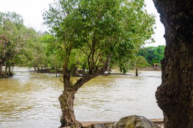 Fil Kampı ve Kaveri Nehri Dubare, Kushalnagar, Madikeri, Karnataka, Hindistan
