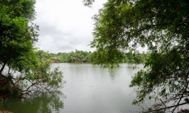 Mysore, Karnataka, Hindistan 'da Ranganathittu kuş barınağı manzarası