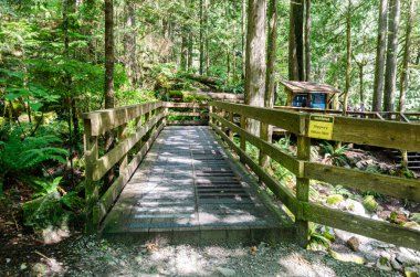 Cascade Falls 'a giden yokuş yukarı giden yol BC, Kanada' nın kuzeydoğusunda yer almaktadır.