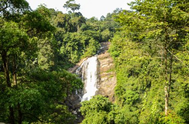 Yeşil ormanla kaplı bir tepenin üzerindeki kayaların üzerinde küçük şelale.