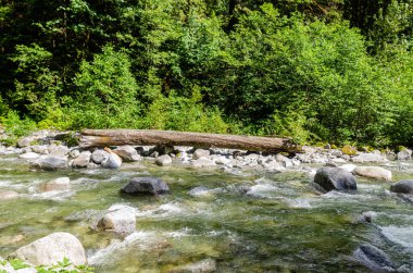 Cascade Falls yakınlarındaki Kettle Nehri BC, Kanada 'nın kuzeydoğusunda yer almaktadır.