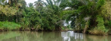 Mysore, Karnataka, Hindistan 'da Ranganathittu kuş barınağı manzarası