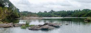 Mysore, Karnataka, Hindistan 'da Ranganathittu kuş barınağı manzarası