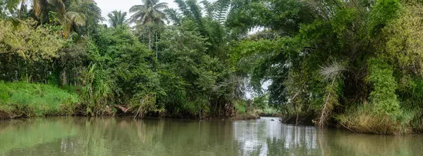 Mysore, Karnataka, Hindistan 'da Ranganathittu kuş barınağı manzarası
