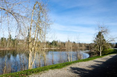 Albert Dyck Gölü, Molson Gölü olarak da bilinir. İnsan yapımı bir göl ve Abbotsford, BC, Kanada 'da popüler bir park.