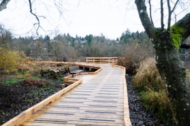 Deer Lake Park, Burnaby, BC, Kanada 'daki tahta patika.
