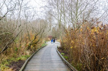 Burnaby Gölü Bölge Parkı, Burnaby, British Columbia, Kanada