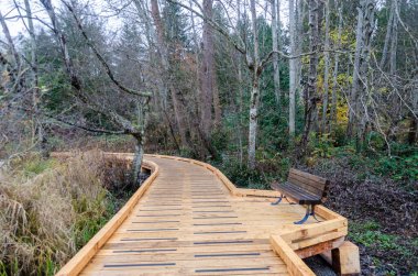 Burnaby, British Columbia, Kanada 'daki Deer Lake Park' ta ahşap kaldırım ve bir bank