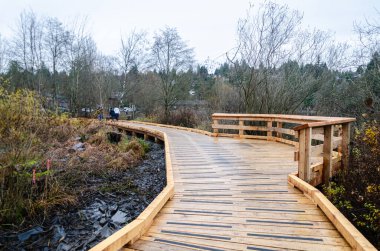Deer Lake Park, Burnaby, BC, Kanada 'daki tahta patika.
