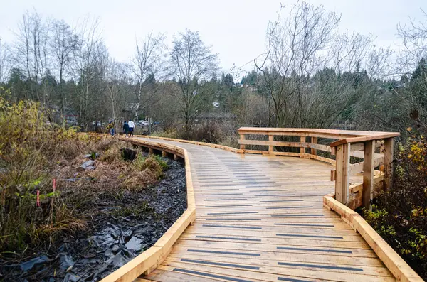 Deer Lake Park, Burnaby, BC, Kanada 'daki tahta patika.