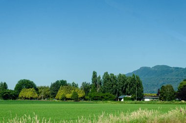 Chilliwack, Fraser Valley, British Columbia, Kanada 'daki tarım çiftlikleri.