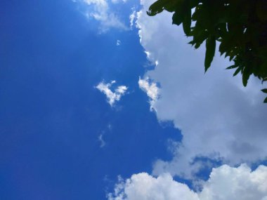 Gökyüzü açık mavi renklerle bembeyaz bulutlarla süslenmiş. Bulutlar kümelenir ve açık gökyüzünde doğal olarak yayılır. Dipte birkaç ağaç görülebilir ve gökyüzü manzarasına doğal ve barışçıl bir izlenim katar..