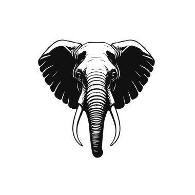 Majestic Elephant Head Illustration clipart