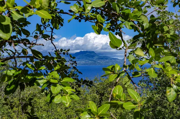 Petite Souer Adaları, Grande Soeur ve Coco Hint Okyanusu 'ndan, Seyşeller Cumhuriyeti' nden.