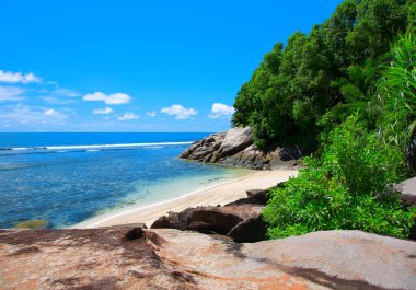 Small beach, Moyenne Island, Saint Anne Marine National Park, Republic of Seychelles, Africa.Small beach on the Island Moyenne, Seychelles. clipart