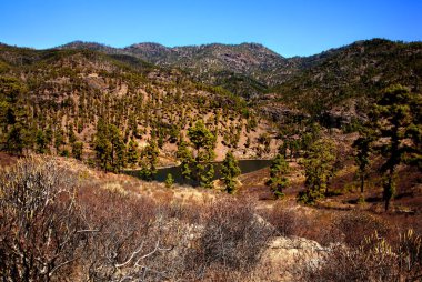 Dağ Gölü Mumyalama del Mulato, Büyük Kanarya Adaları, İspanya.