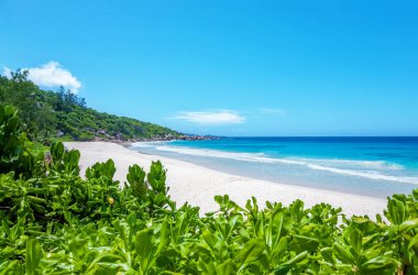 Petite Anse Sahili, La Digue Adası, Seyşeller Cumhuriyeti, Afrika. Petite Anse Sahili, Seyşeller Adası 'nın doğusunda yer alır..