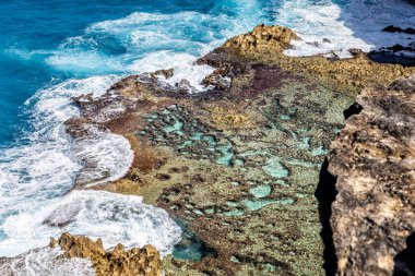 Grande-Terre 'nin kuzey kıyısı, Guadeloupe, Küçük Antiller, Karayipler.