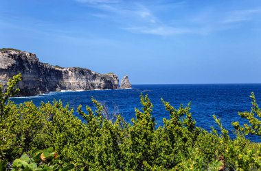 Pointe du Piton, kuzey kıyısı, Grande-Terre, Guadeloupe, Küçük Antiller, Karayipler.