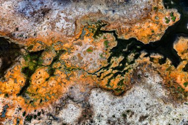Batı kıyısının havadan görünüşü, Grande-Terre, Guadeloupe, Küçük Antiller, Karayipler.