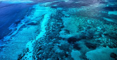 Grand Cul de Sac Marin, Basse-Terre, Guadeloupe, Küçük Antiller, Karayipler
