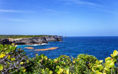 Kuzey kıyısı manzarası, Grande-Terre, Guadeloupe, Küçük Antiller, Karayipler.