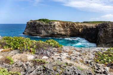 Kuzey kıyısı manzarası, Grande-Terre, Guadeloupe, Küçük Antiller, Karayipler.