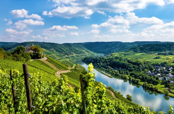 Mosel Nehri manzarası, Rhineland-Palatinate, Almanya, Avrupa