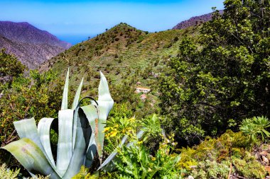La Gomera Adası 'ndaki manzara, Kanarya Adaları, İspanya, Avrupa.