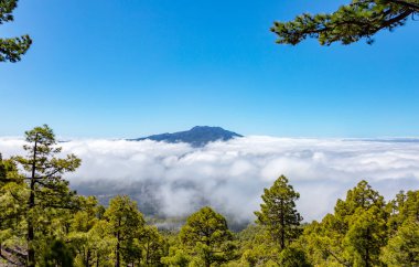 Ulusal Park Caldera de Taburiente, La Palma Adası, Kanarya Adaları, İspanya, Avrupa