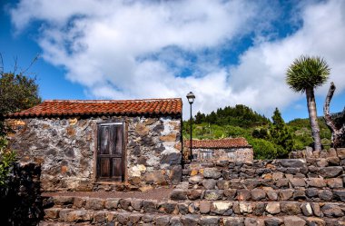 Ejderha ağacı olan Kanarya evleri, La Palma Adası, Kanarya Adaları, İspanya, Avrupa