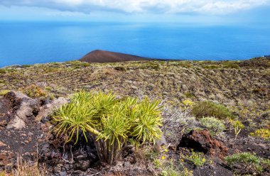 Volkanik manzara, La Palma Adası, Kanarya Adaları, İspanya, Avrupa.