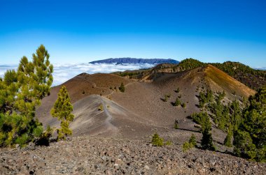 Volkanik manzara boyunca Ruta de los Volcanes, Cumbre Vieja, La Palma Adası, Kanarya Adaları, İspanya, Avrupa