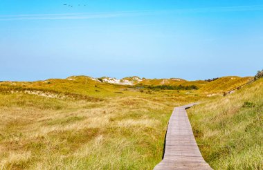 Amrum Adası, Kuzey Friesland, Schleswig-Holstein, Almanya, Avrupa.