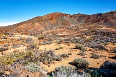 Volkanik manzara, Tenerife Adası, Kanarya Adaları, İspanya, Avrupa
