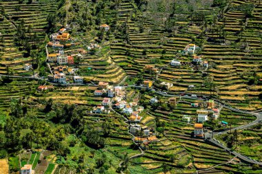 Valley Gran Rey, Island La Gomera, Kanarya Adaları, İspanya, Avrupa.