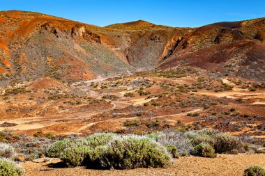 Volkanik manzara, Tenerife Adası, Kanarya Adaları, İspanya, Avrupa