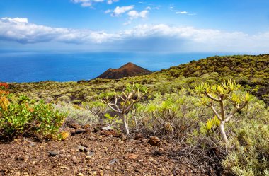Volkanik manzara, La Palma Adası, Kanarya Adaları, İspanya, Avrupa.