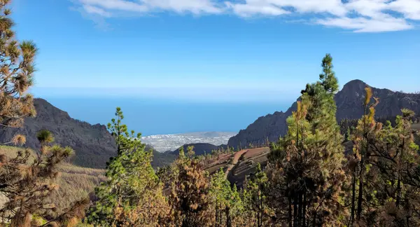Tenerife Adası 'nın batı kıyısı, Kanarya Adaları, İspanya, Avrupa