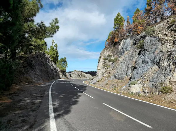 Dağ yolu TF-24, Tenerife Adası, Kanarya Adaları, İspanya, Avrupa