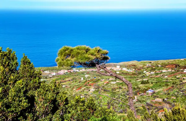 Santo Domingo de Garafia, La Palma Adası, Kanarya Adaları, İspanya, Avrupa.