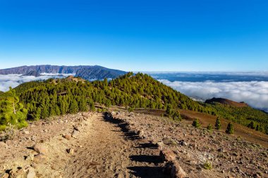 Volkanik manzara boyunca Ruta de los Volcanes, Cumbre Vieja, La Palma Adası, Kanarya Adaları, İspanya, Avrupa