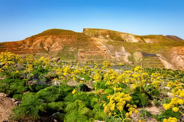 Dağ manzarası, Lanzarote Adası, Kanarya Adaları, İspanya, Avrupa