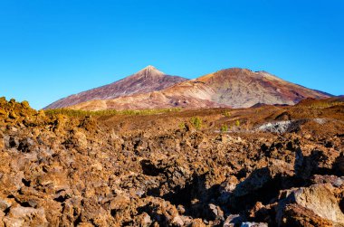 El Teide Ulusal Parkı, Tenerife Adası, Kanarya Adaları, İspanya, Avrupa