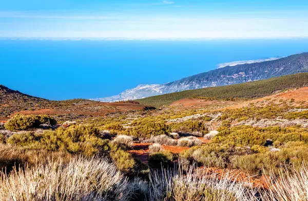 Volkanik manzara, Tenerife Adası, Kanarya Adaları, İspanya, Avrupa
