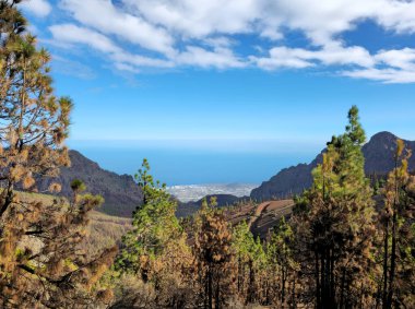 Tenerife Adası 'nın batı kıyısı, Kanarya Adaları, İspanya, Avrupa